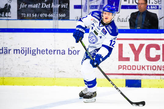 Leksands Wilde Bröms