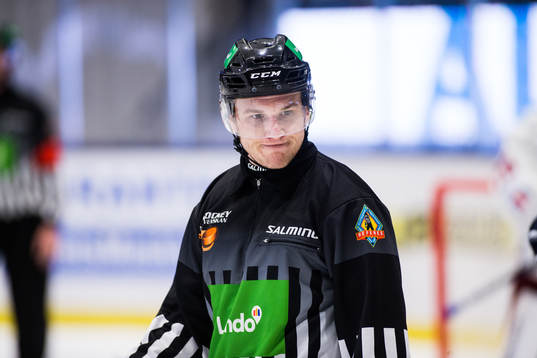 Domaren Daniel Eriksson