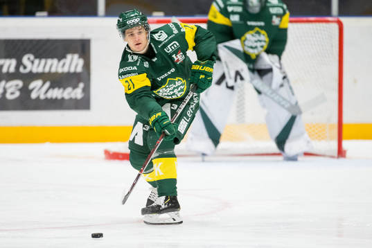 Björklövens Erik Rainersson