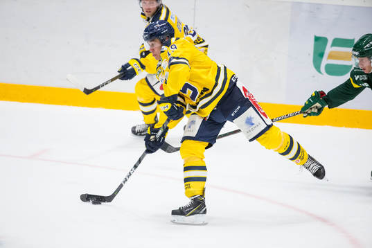 Södertäljes Lucas Carlsson