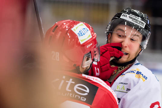 Vita Hästens Wilhelm Westlund och Lucas Sandström