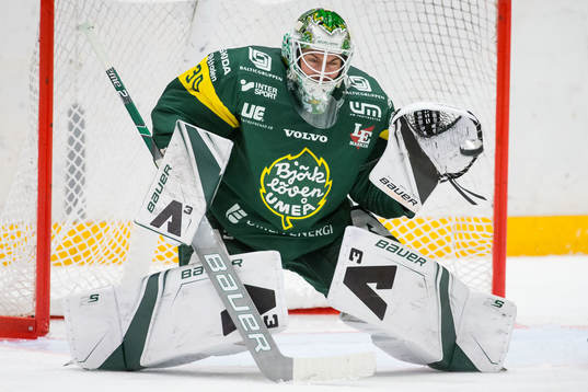 Björklövens målvakt Mattias Pettersson