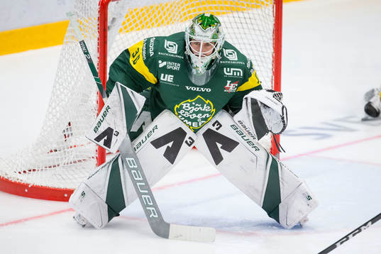 Björklövens målvakt Mattias Pettersson