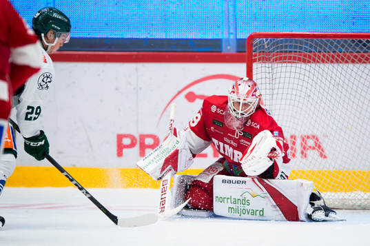 Timrås Niklas Svedberg räddar skott