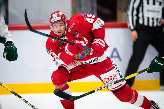 Timrås Sebastian Collberg