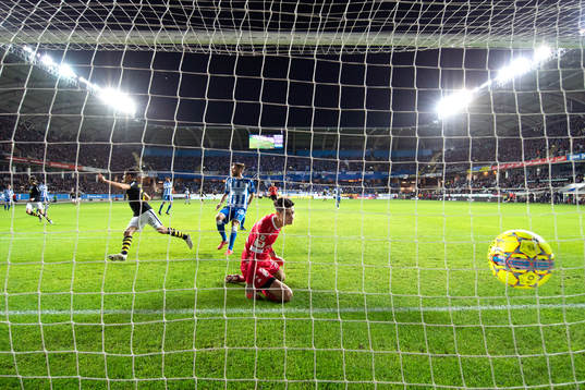 s Tarik Elyounoussi jublar