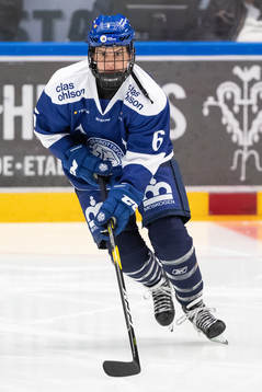 Leksands Gracen Hirschy