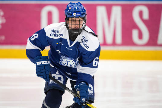 Leksands Gracen Hirschy
