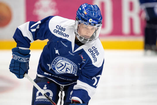 Leksands Danielle Stone