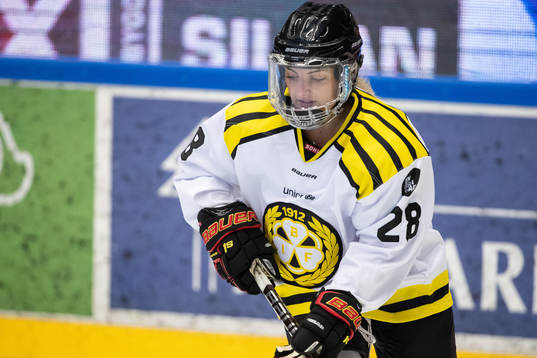 Brynäs Savannah Newton