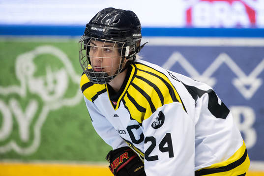 Brynäs Erika Grahm