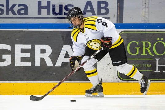 Brynäs Cassandra Vilgrain