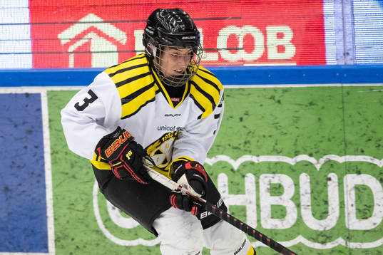 Brynäs Sarah Forster