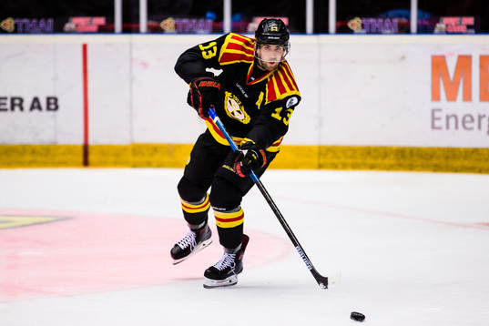 Brynäs Ryan Gunderson