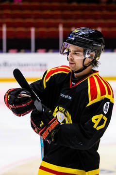 Brynäs Eric Norin