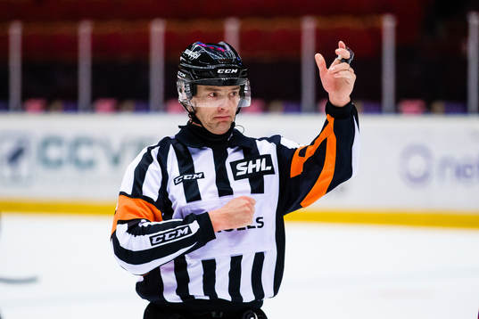 Domare Mikael Andersson