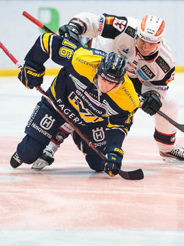 s Markus Ljungh