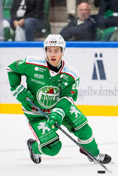 Rögles Leon Bristedt