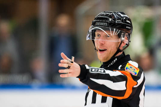 Domare Mikael Holm