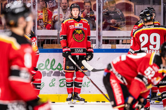 Bläddra bland fler bilder av Ishockey, SHL, Luleå - Skellefteå