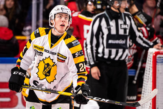 Skellefteås Andreas Wingerli deppar