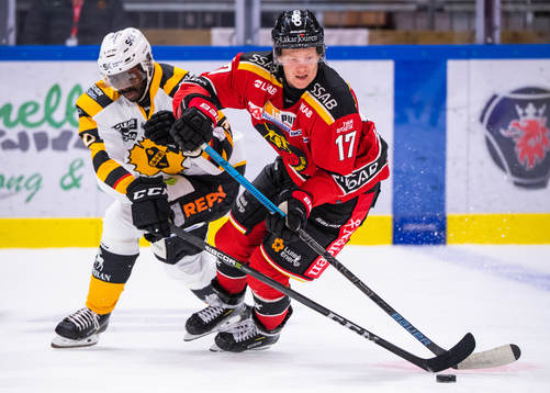 Skellefteås Edwin Hedberg och Luleås David Lindquist