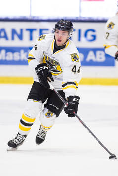 Panterns Erik Nyström