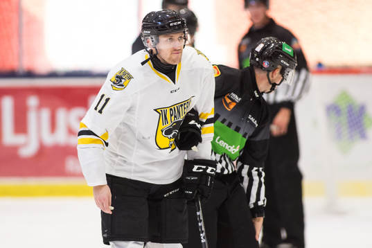 Panterns Niklas Pavel visas ut