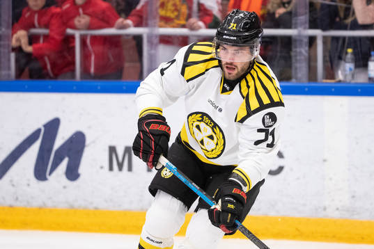 Brynäs Robert Kousal