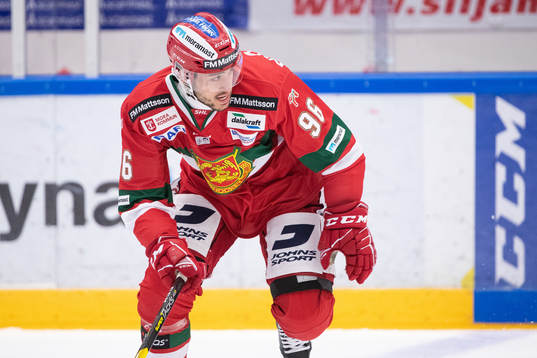 Moras Niki Petti