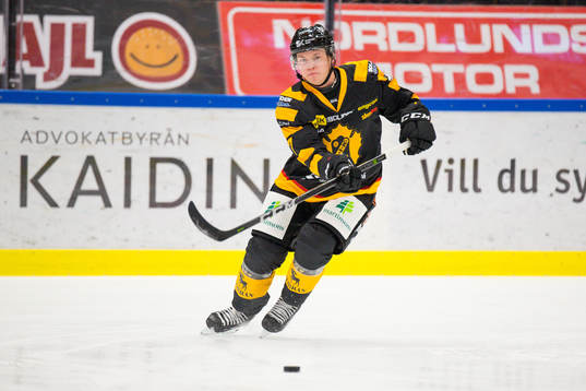 Skellefteås Felix Dahlroth