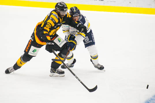 Skellefteås Edwin Hedberg
