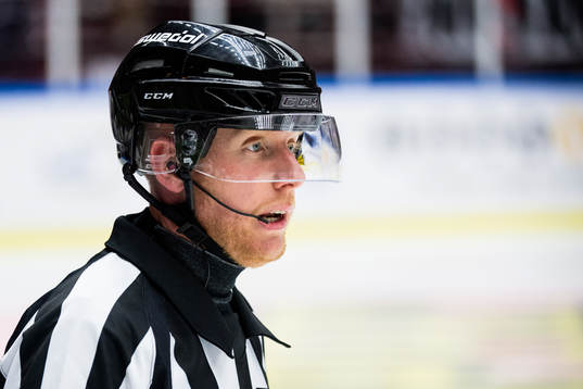 Domare Mikael Holm