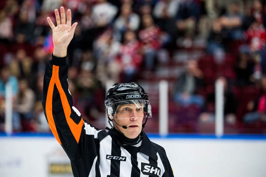 Domare Morgan Johansson