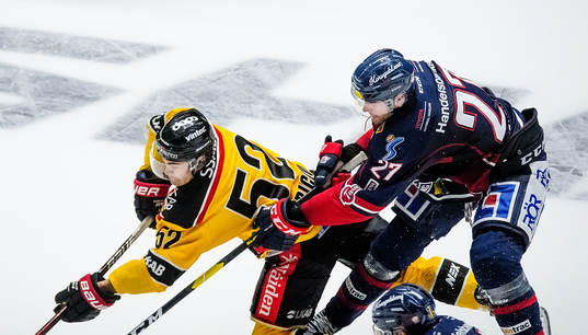 Luleås Karl Fabricius och Linköpings Fredrik Karlström