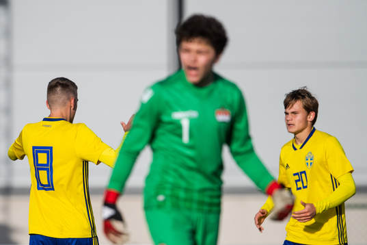 Sveriges Tim Prica och Oscar Uddenäs jublar