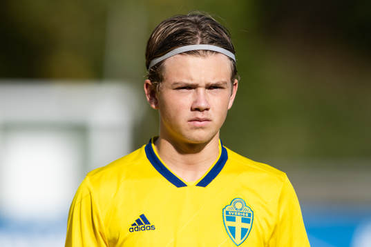 Sveriges Niclas Bergmark