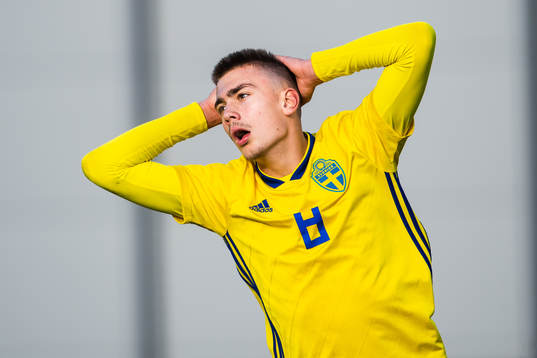 Sveriges Tim Prica deppar
