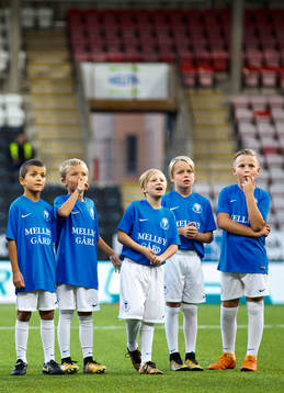 Trelleborgs knattar