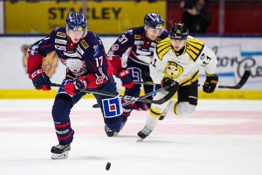 Bläddra bland fler bilder av Ishockey, SHL, Linköping - Brynäs