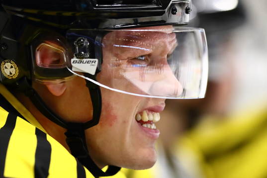 Brynäs Niclas Lundgren
