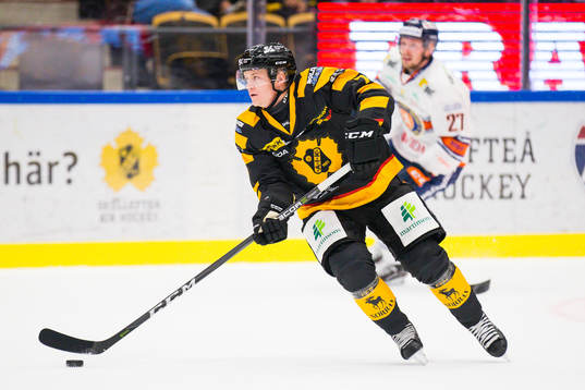 Skellefteås Felix Dahlroth