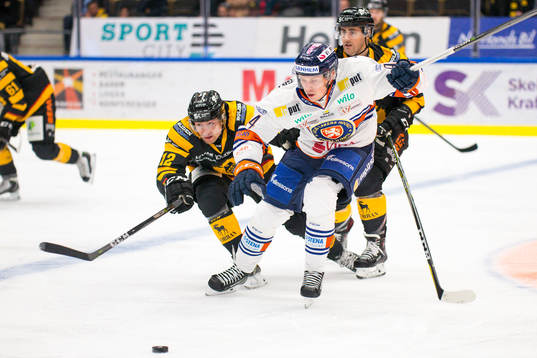 Skellefteås Adam Pettersson