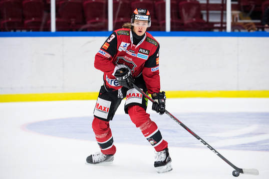 Malmö Redhawks Malte Setkov