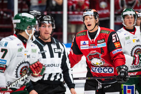 Malmö Redhawks Emil Sylvegård  reagerar mot domare