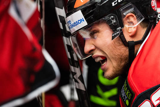 Malmö Redhawks Christoffer Forsberg grimaserar i båset