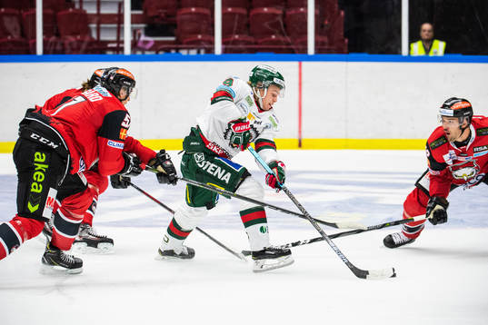 Malmö Redhawks Niklas Arell och Frölundas Tim Söderlund