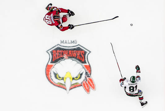 Malmö Redhawks Jens Olsson och Frölundas Ryan Lasch