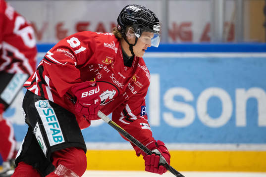 Vita Hästens Erik Borg