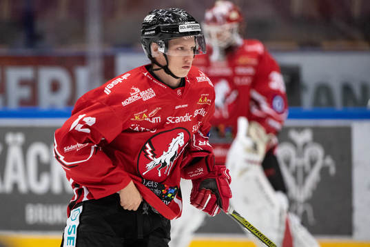 Vita Hästens Gustav Ahnelöv
